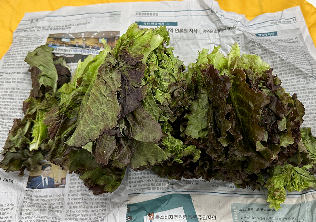 공지사항 썸네일