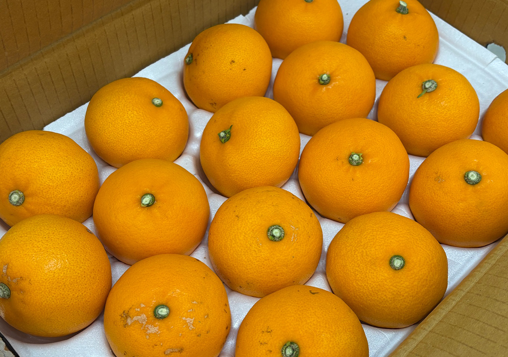 공지사항 썸네일