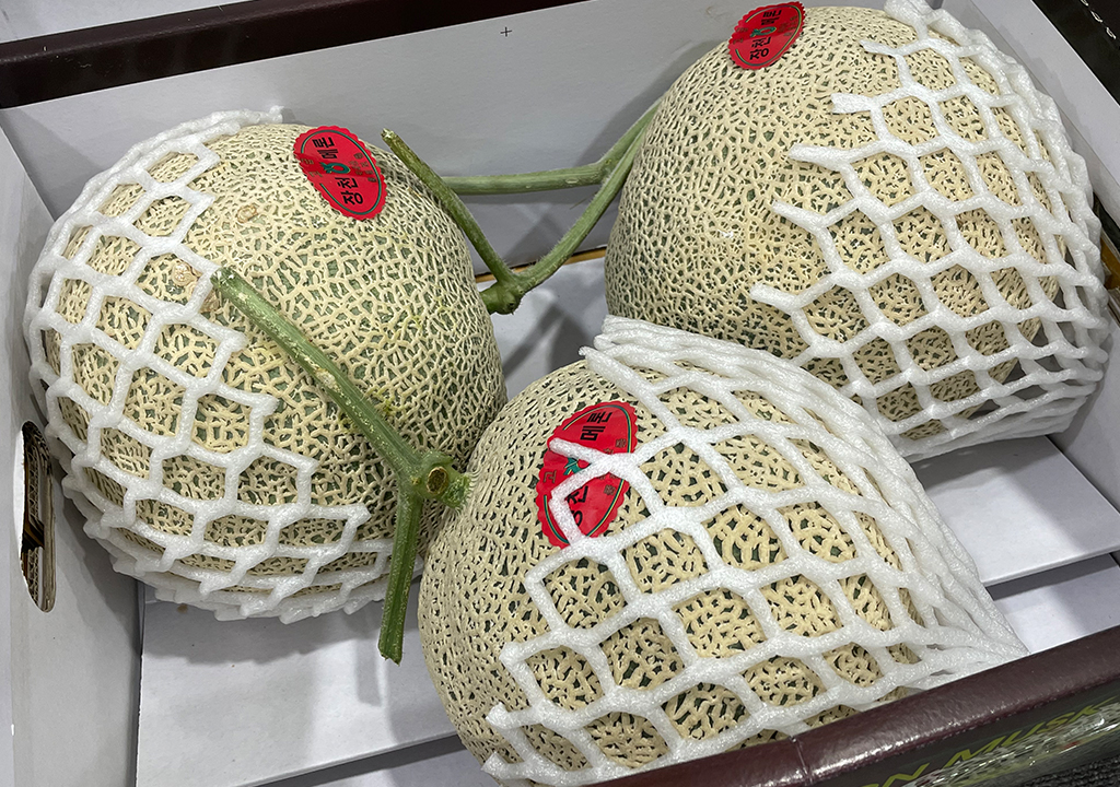 공지사항 썸네일